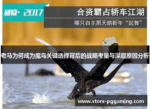 老马为何成为魔鸟关键选择背后的战略考量与深层原因分析 老马为何成为魔鸟关键选择背后的战略考量与深层原因分析