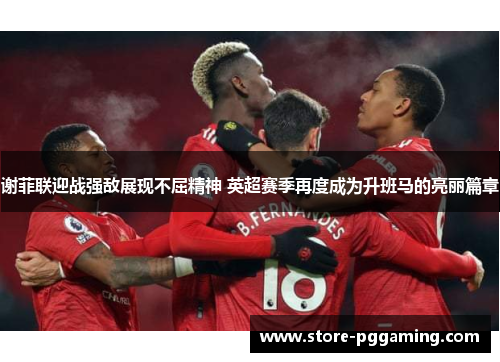 谢菲联迎战强敌展现不屈精神 英超赛季再度成为升班马的亮丽篇章 谢菲联迎战强敌展现不屈精神 英超赛季再度成为升班马的亮丽篇章