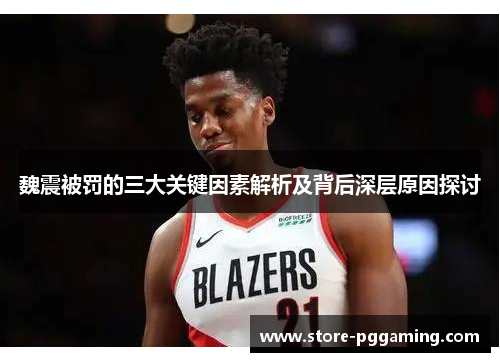 魏震被罚的三大关键因素解析及背后深层原因探讨