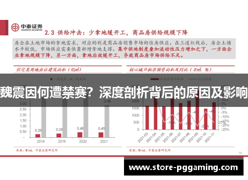 魏震因何遭禁赛？深度剖析背后的原因及影响