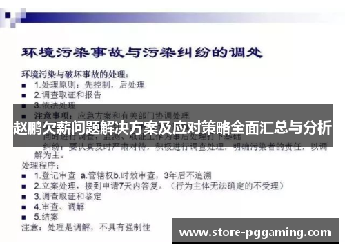 赵鹏欠薪问题解决方案及应对策略全面汇总与分析