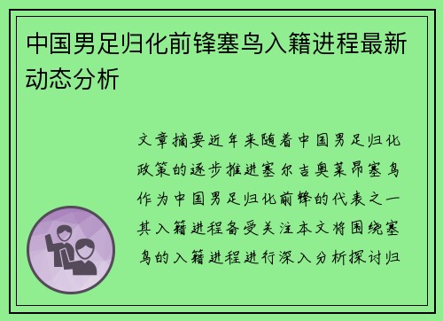 中国男足归化前锋塞鸟入籍进程最新动态分析